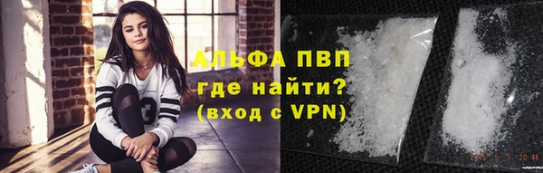 тгк Верея
