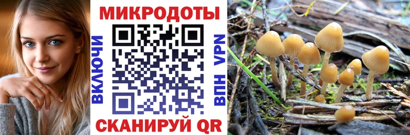 мориарти формула  Чердынь  Галлюциногенные грибы Cubensis 